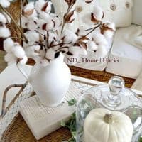 TikTok Account - nd_home.hacks