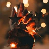 TikTok Account - clips_foryou1