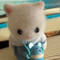 TikTok Account - clauisokay