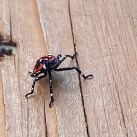 TikTok Account - i_stole_this_account2