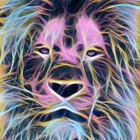 TikTok Account - ligerlyrics