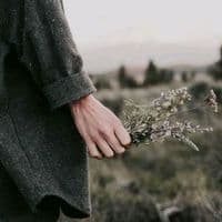 TikTok Account - numi2574