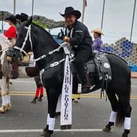 TikTok Account - wistongonzalez180535