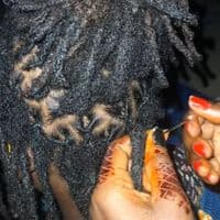 TikTok Account - gogobolono