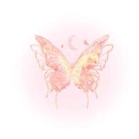 TikTok Account - auroranaillss