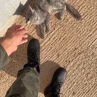 TikTok Account - wsm.fa