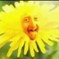 TikTok Account - aurrxzz