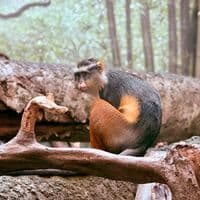 TikTok Account - manuel.4281