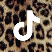 TikTok Account - lifewithzuriah