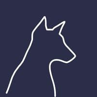 TikTok Account - doberman.radio