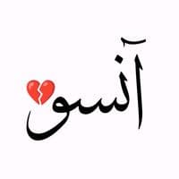 TikTok Account - ansoo.2