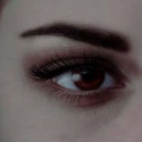 TikTok Account - veditxxv