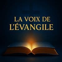 TikTok Account - la_voix_de_levangile