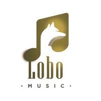 TikTok Account - lobomusicc