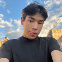 TikTok Account - alannpapichulo