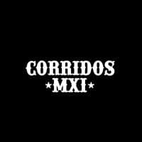 TikTok Account - corridosmxii