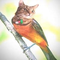 TikTok Account - csm4737