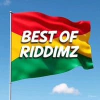 TikTok Account - bestofriddimz