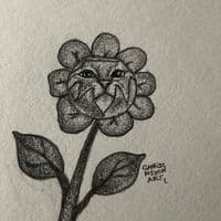 TikTok Account - bakednixon