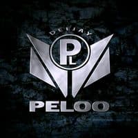 TikTok Account - djmanpeloo