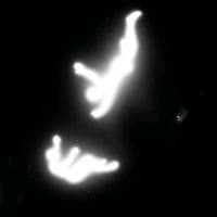 TikTok Account - moral_fax