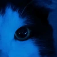 TikTok Account - pyatachok_3567