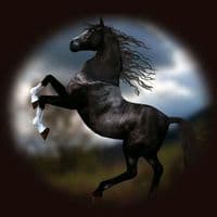 TikTok Account - alhzeen125