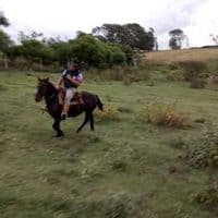 TikTok Account - fernandovieira9503