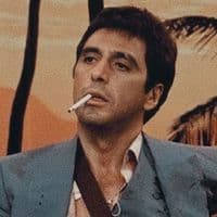 TikTok Account - beeli.weeknd