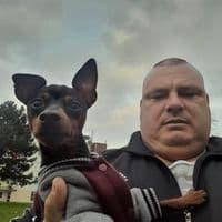 TikTok Account - damjanfurman