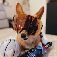 TikTok Account - aircorg