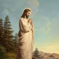 TikTok Account - neldijananeldamuc