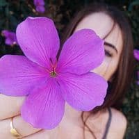 TikTok Account - eleriahi