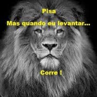 TikTok Account - noslen2367