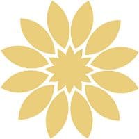 TikTok Account - handlevataccessories