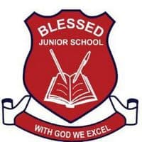 TikTok Account - blessed.junior.sc