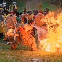 TikTok Account - leparicientroyal