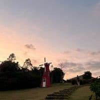 TikTok Account - sunnylaughs