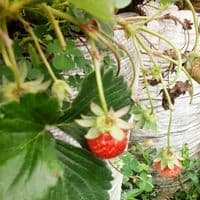 TikTok Account - miimoon111