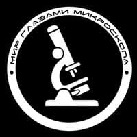 mir_glazami_microscopa