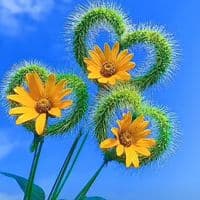 TikTok Account - user7629610158657