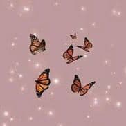 TikTok Account - spotifysongs_lyrics