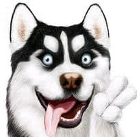 TikTok Account - funnypet0807