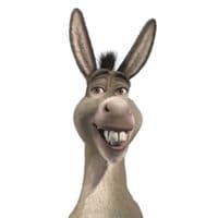 TikTok Account - slopbogbinky