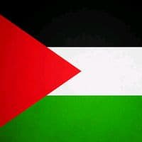 TikTok Account - music_4uo