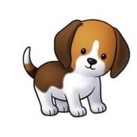 TikTok Account - cleanpuppy