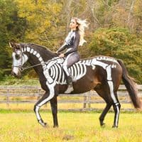 TikTok Account - leah_mifsud