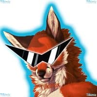 TikTok Account - tilkimix