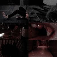 TikTok Account - bellbeanaudios