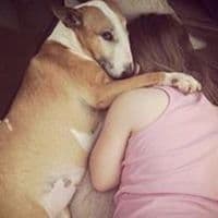 TikTok Account - damehamilton